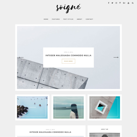 Soigne - A Minimal WordPress Blog Theme