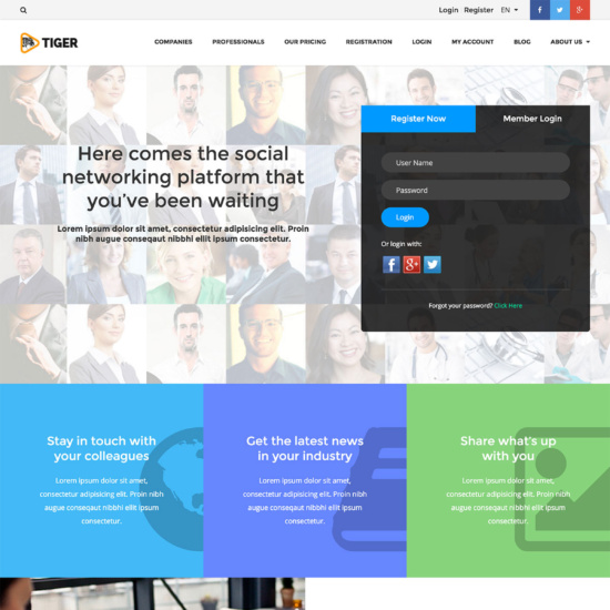 TIGER – Social Network Theme for Companies & Professionals